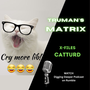 X-Files vol 9; Catturd