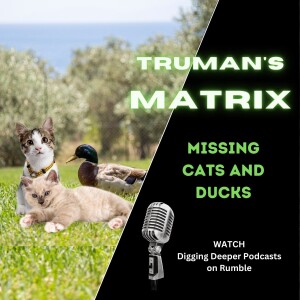 Missing Cats and Ducks