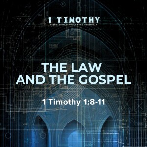 The Law and the Gospel | 1 Timothy 1:8-11