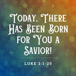 Today, There Has Been Born for You a Savior | Luke 2:1-20
