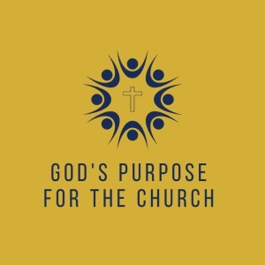 God’s Purpose for the Church: The Responsibility of the Members | Romans 12:1-16