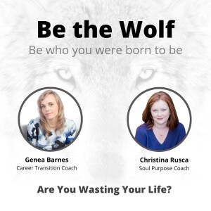 #28 Are You Wasting Your Life? with Soul Purpose Coach Christina Rusca