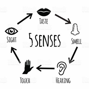 Spiritual Senses 2