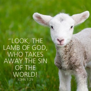 The Journey of the Lamb