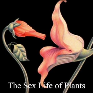 The Sex Life of Plants