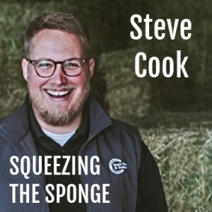 Steve Cook : Squeezing The Sponge
