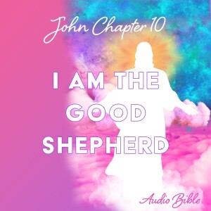 John 10 - Audio Bible