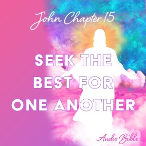 John 15 - Audio Bible