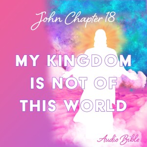 John 18 - Audio Bible