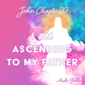 John 20 - Audio Bible