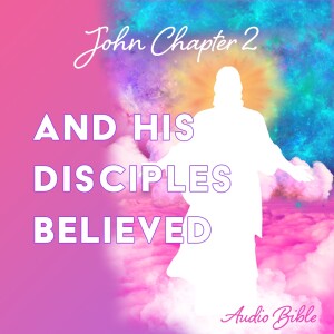 John 2 - Audio Bible