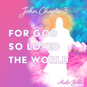 John 3 - Audio Bible