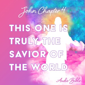John 4 - Audio Bible