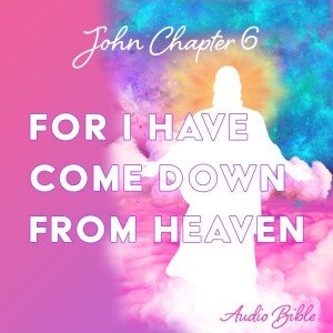 John 6 - Audio Bible