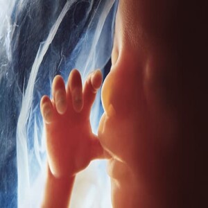 Abortion: What Does God Say?