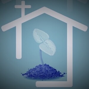 The Life of a Church Plant: The Blessings and Challenges of Planting New Churches (Audio only)