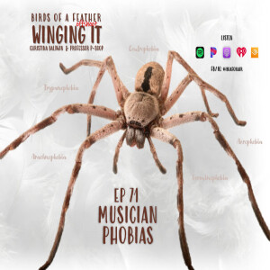 Winging It EP 71: Musician Phobias