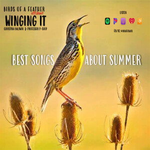 Winging It: EP 61 Best Songs About Summer