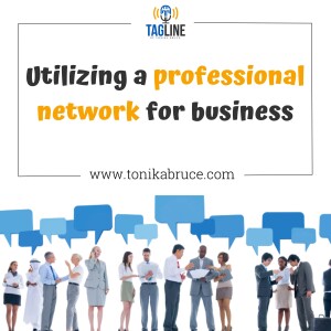 53: Utilizing a professional network for business