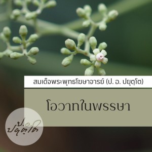 09 ข้อควรทราบเกี่ยวกับปฏิจจสมุปบาท ช่วงที่ ๒ (45.00) 1