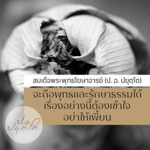 08 พุทธศาสนาเกิดขึ้นมา มิใช่ว่าพิธีกรรมจะไร้ความหมาย(89.24) 1