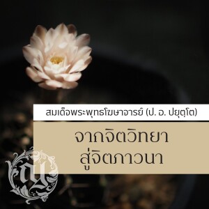 41_1101_การใช้อานาปานสติโยงสู่สติปัฏฐานสี่-๑๓