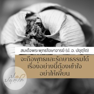 13 อะไรกันคนไทย ยังไม่รู้จักว่าสันโดษอย่างไหนดีฯ(106.36) 1