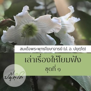 03. พระเจ้าพิมพิสาร ราชวงศ์ปิตุฆาต