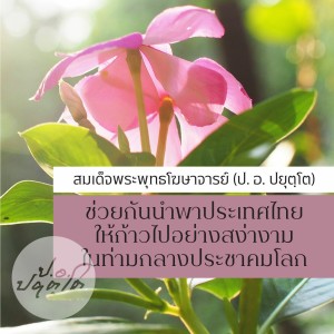 11.ทำอย่างไรสังคมไทยจะตั้งอยู่ในสมดุล (47.29) 1