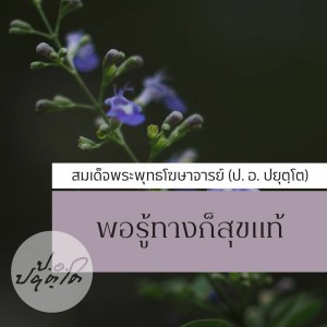 11.คนไทยมีบุญ แต่ไม่รู้จักใช้บุญ(53.04)