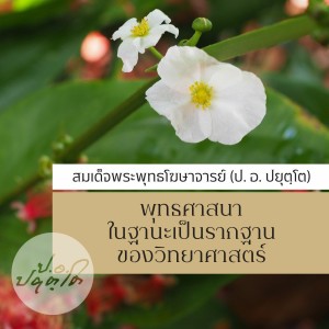 15. การพัฒนาวิทยาศาสตร์มองจากแง่มุมของพุทธศาสนา ตอนที่ ๖ 11.21 1