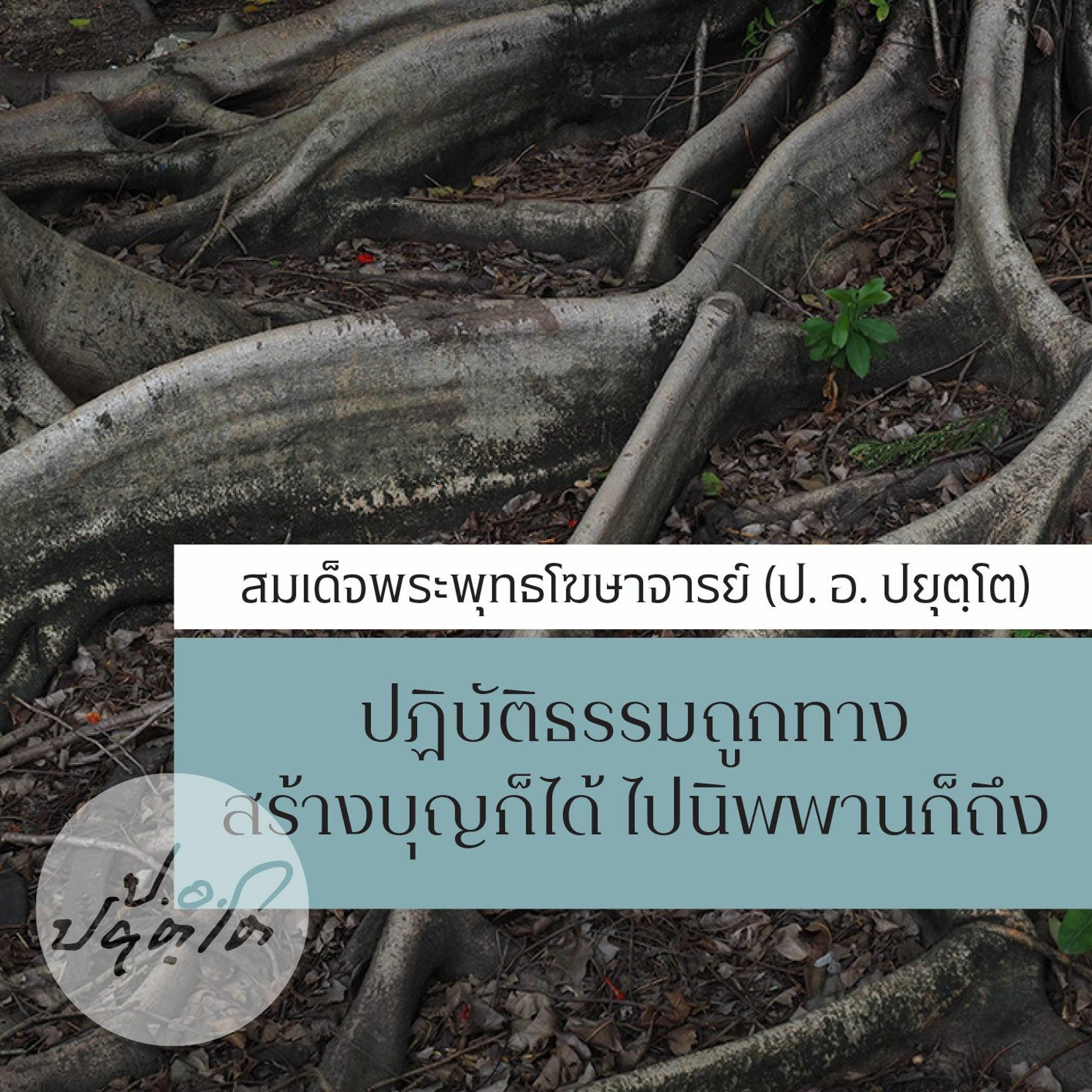 01. ปฎิบัติธรรมให้ถูกทาง ตอนที่ ๑