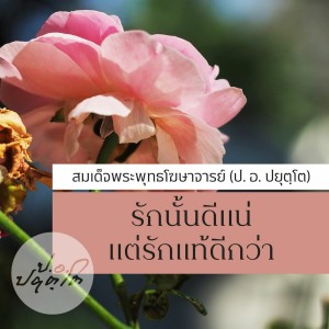 02.จากวาเลนไทน์ สู่ความเป็นไทย (40.41) 1