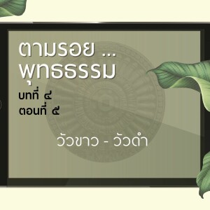 ตามรอย.. พุทธธรรม บทที่ ๔ ตอนที่ ๕ :: วัวขาว - วัวดำ