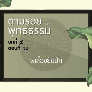 ตามรอย.. พุทธธรรม บทที่ ๔ ตอนที่ ๑๐ :: ผีเสื้อขยับปีก