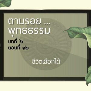 ตามรอย.. พุทธธรรม บทที่ ๖ ตอนที่ ๑๒ :: ชีวิตเลือกได้