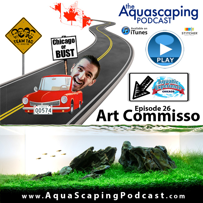 Episode26: Art Commisso