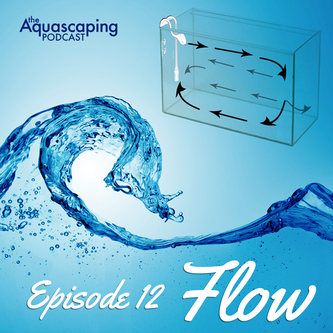 Episode 12: Flow