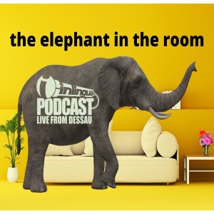 It takes an idiom to know one. Nr. 9 - the elephant in the room