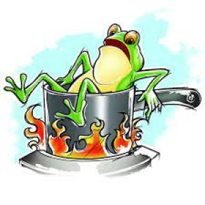 The Frog In Boiling Water (#2)