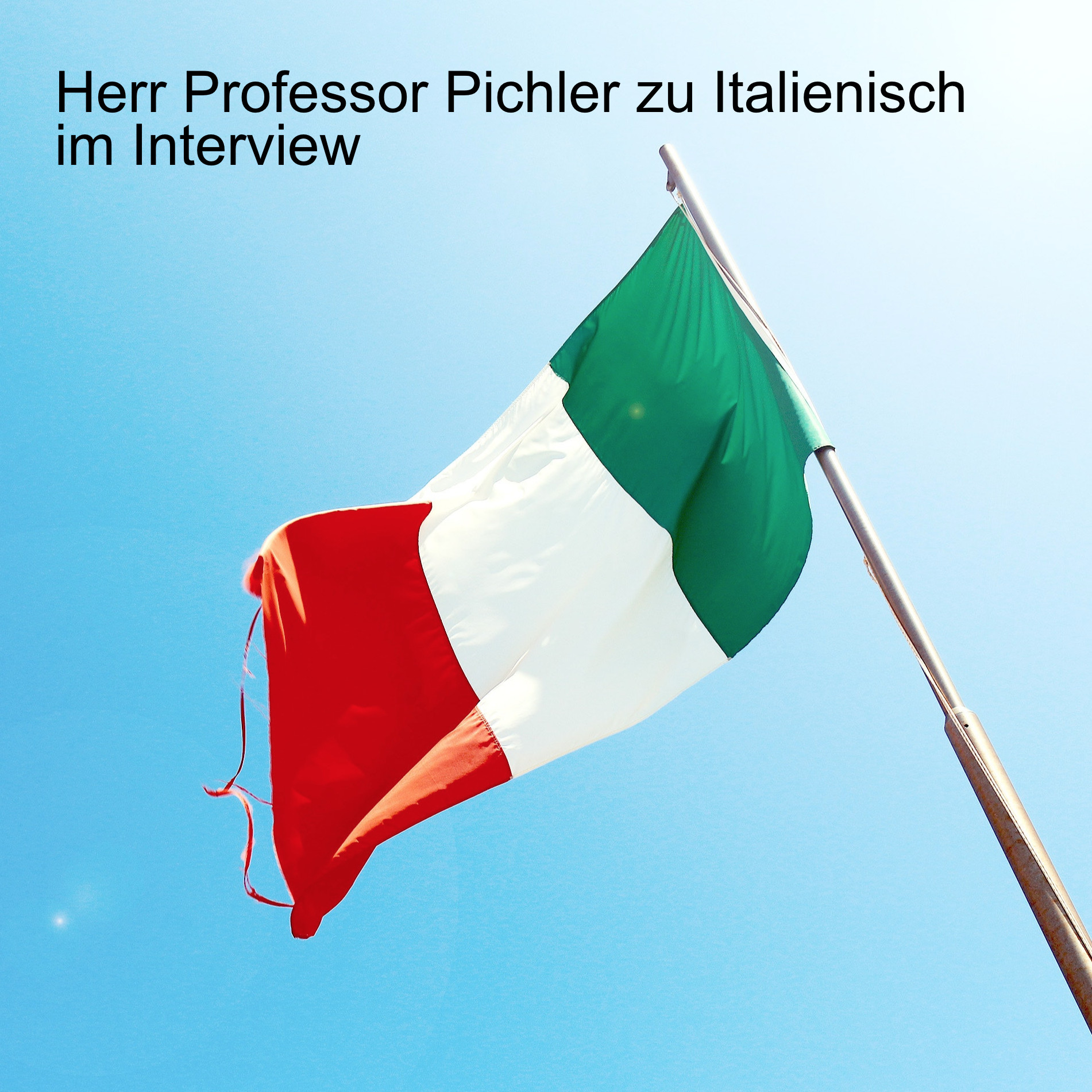 Herr Professor Pichler zu Italienisch im Interview