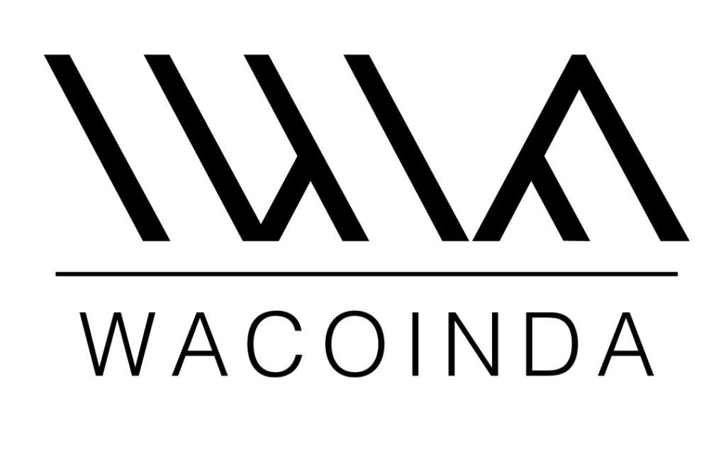 WakandaCon: Wacoinda Interview