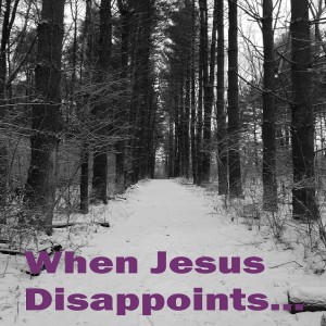 Sermon Audio - Jesus is disappointing