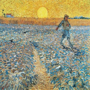 Sermon Audio: Parable of the Sower, Pentecost 6 2020 July 11 12