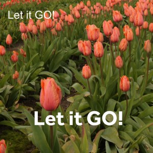 Let it GO!