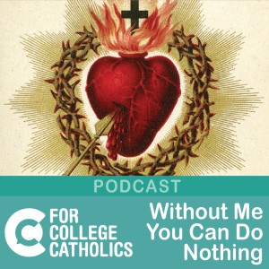 66 Without Me You Can Do Nothing – Fr. Matthew Maxwell