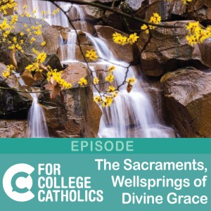 72 The Sacraments, Wellsprings of Divine Grace
