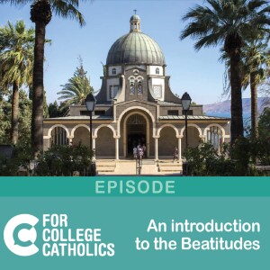 126 The Beatitudes – The New Law of the Gospel