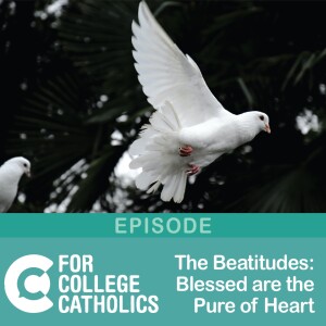 127 The Beatitudes – Blessed are the Pure of Heart