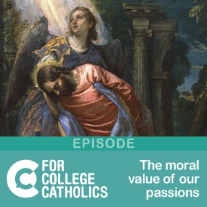 134 Did Jesus experience fear? The moral value of our passions